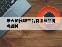 最火的代理平台有哪些品牌呢图片