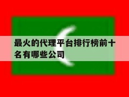 最火的代理平台排行榜前十名有哪些公司的简单介绍