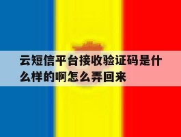 关于云短信平台接收验证码是什么样的啊怎么弄回来的信息