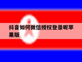 抖音如何微信授权登录呢苹果版