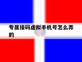 专属接码虚拟手机号怎么弄的