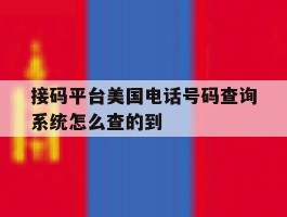 接码平台美国电话号码查询系统怎么查的到的简单介绍