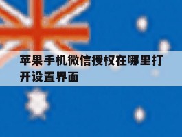 苹果手机微信授权在哪里打开设置界面
