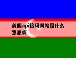 美国api接码网站是什么意思啊