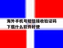 海外手机号短信接收验证码下载什么软件好使