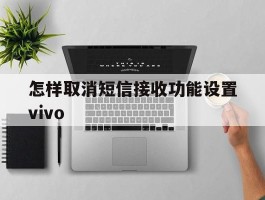 包含怎样取消短信接收功能设置vivo的词条