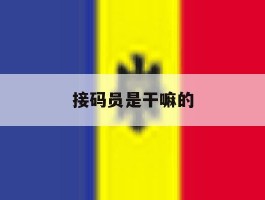 接码员是干嘛的