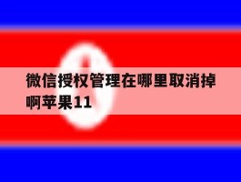 微信授权管理在哪里取消掉啊苹果11