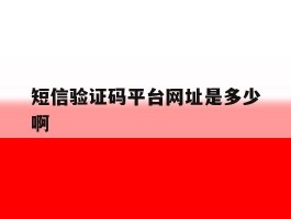 短信验证码平台网址是多少啊