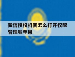 微信授权抖音怎么打开权限管理呢苹果