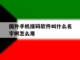 国外手机接码软件叫什么名字啊怎么用