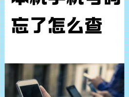 虚拟手机号码是什么意思啊怎么设置的密码