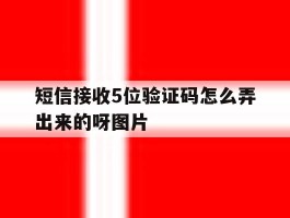关于短信接收5位验证码怎么弄出来的呀图片的信息