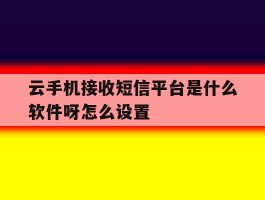云手机接收短信平台是什么软件呀怎么设置
