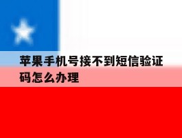 苹果手机号接不到短信验证码怎么办理