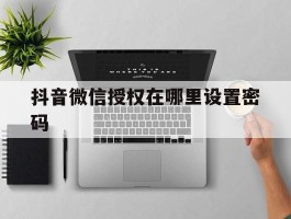 抖音微信授权在哪里设置密码