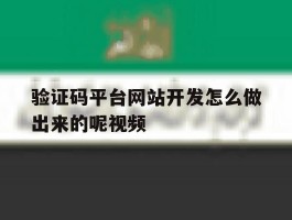 验证码平台网站开发怎么做出来的呢视频