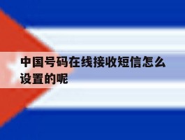中国号码在线接收短信怎么设置的呢