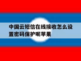 中国云短信在线接收怎么设置密码保护呢苹果