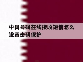中国号码在线接收短信怎么设置密码保护