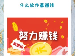 关于有没有什么好的放单平台赚钱的app的信息