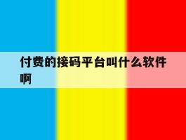 付费的接码平台叫什么软件啊