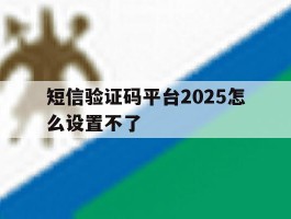 短信验证码平台2025怎么设置不了
