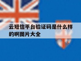 云短信平台验证码是什么样的啊图片大全