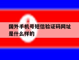 国外手机号短信验证码网址是什么样的
