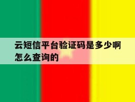 云短信平台验证码是多少啊怎么查询的