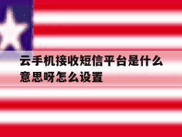 云手机接收短信平台是什么意思呀怎么设置