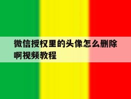 微信授权里的头像怎么删除啊视频教程的简单介绍