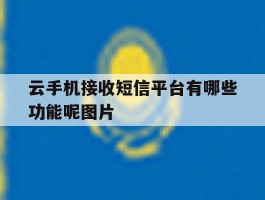 关于云手机接收短信平台有哪些功能呢图片的信息