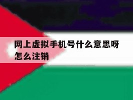网上虚拟手机号什么意思呀怎么注销
