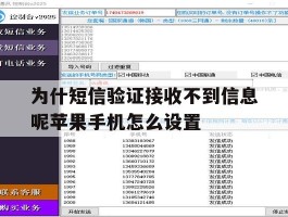 关于为什短信验证接收不到信息呢苹果手机怎么设置的信息