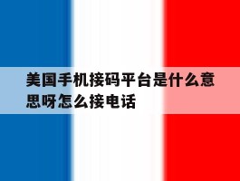 美国手机接码平台是什么意思呀怎么接电话