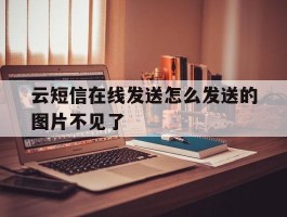 云短信在线发送怎么发送的图片不见了的简单介绍