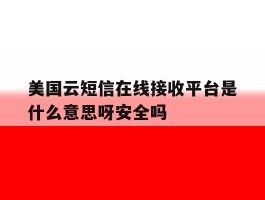 美国云短信在线接收平台是什么意思呀安全吗