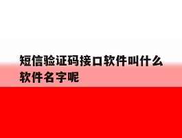 短信验证码接口软件叫什么软件名字呢