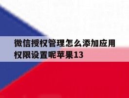 微信授权管理怎么添加应用权限设置呢苹果13的简单介绍