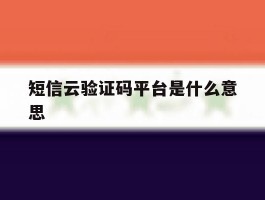 短信云验证码平台是什么意思