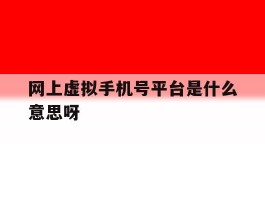 网上虚拟手机号平台是什么意思呀