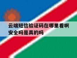 关于云端短信验证码在哪里看啊安全吗是真的吗的信息