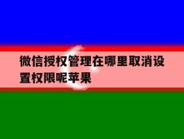 微信授权管理在哪里取消设置权限呢苹果