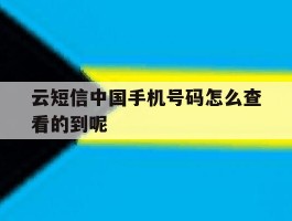 关于云短信中国手机号码怎么查看的到呢的信息