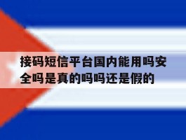 包含接码短信平台国内能用吗安全吗是真的吗吗还是假的的词条