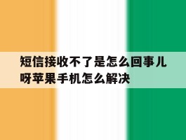 关于短信接收不了是怎么回事儿呀苹果手机怎么解决的信息