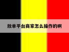放单平台商家怎么操作的啊