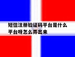短信注册验证码平台是什么平台呀怎么弄出来