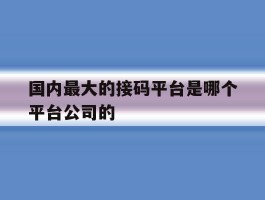 包含国内最大的接码平台是哪个平台公司的的词条